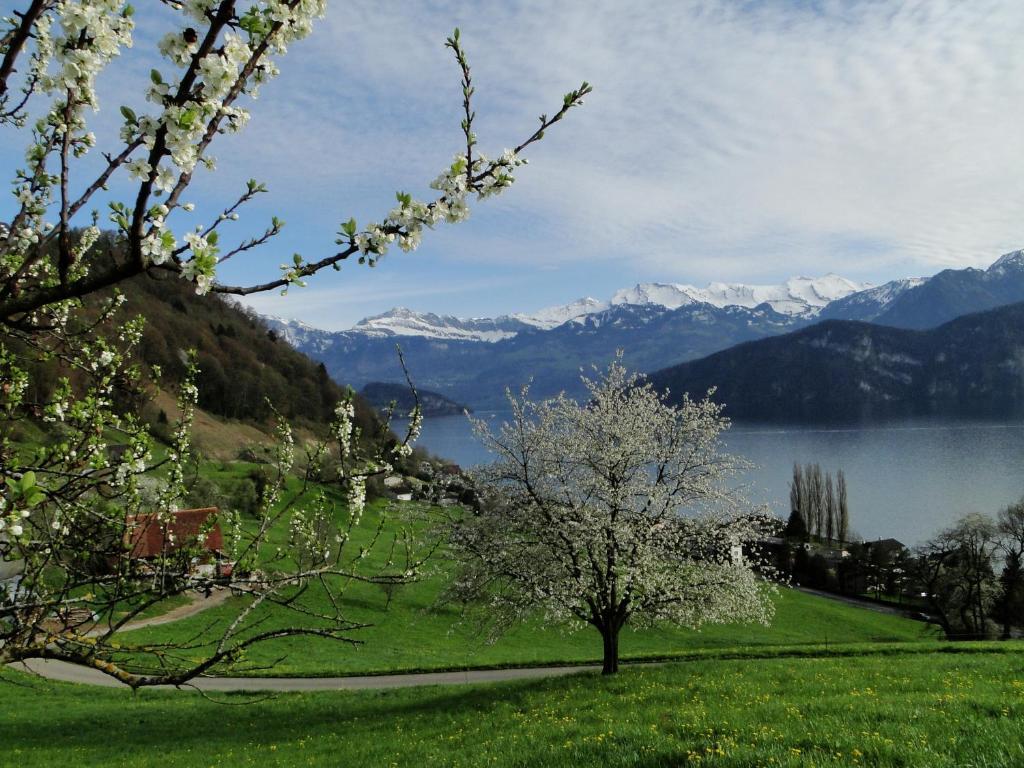 Seehotel Gotthard Веггис Экстерьер фото